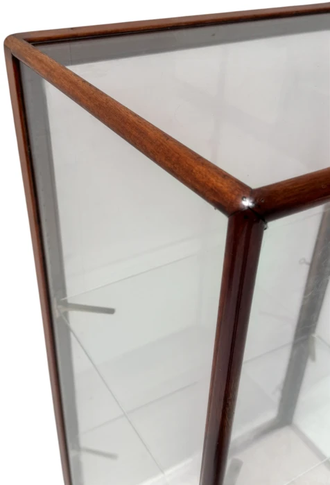 Art Nouveau Display Cabinet or Vitrine by Joh. Tacoma Amsterdam, 1900s